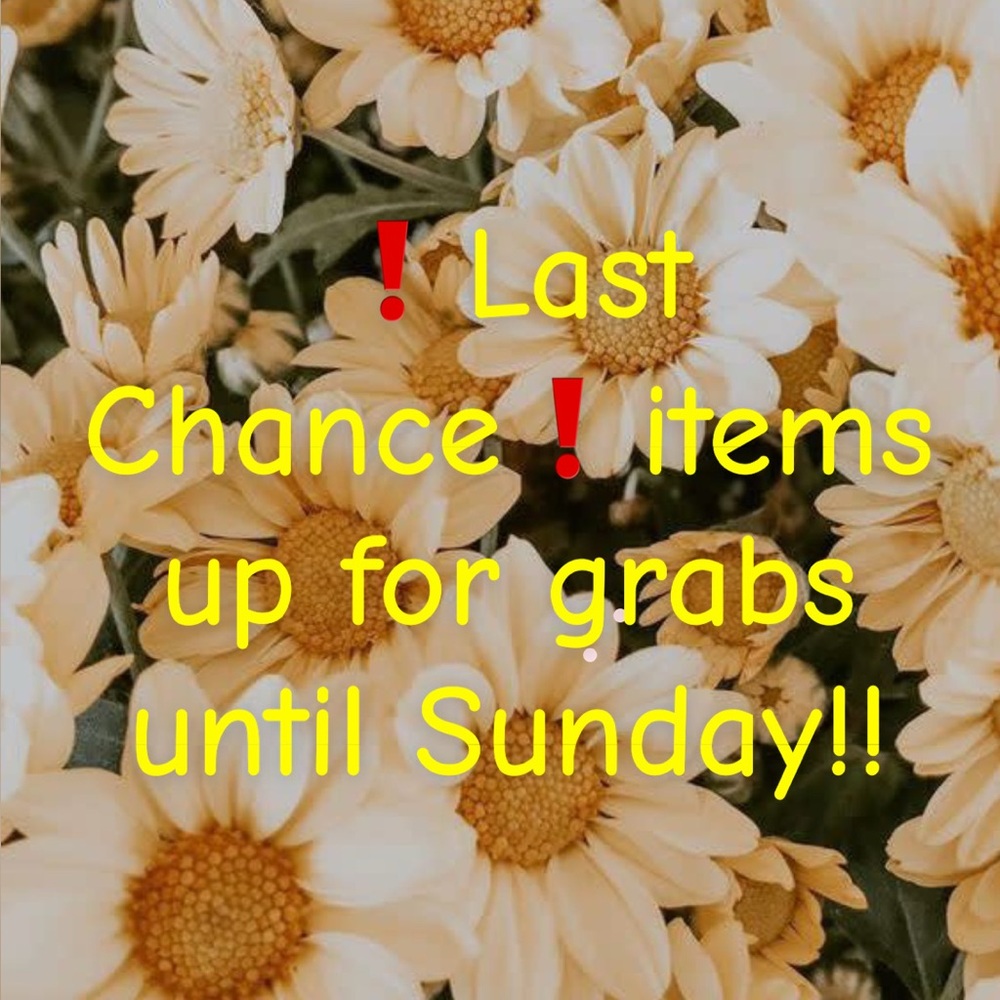 ❗️Last Chance❗️